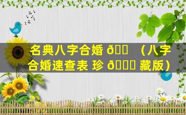名典八字合婚 🐠 （八字合婚速查表 珍 🐎 藏版）